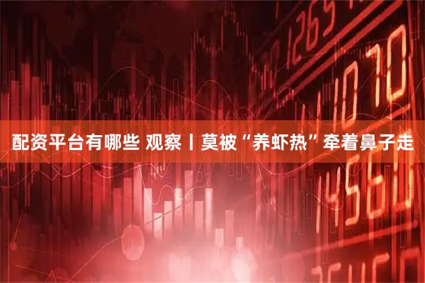 配资平台有哪些 观察丨莫被“养虾热”牵着鼻子走